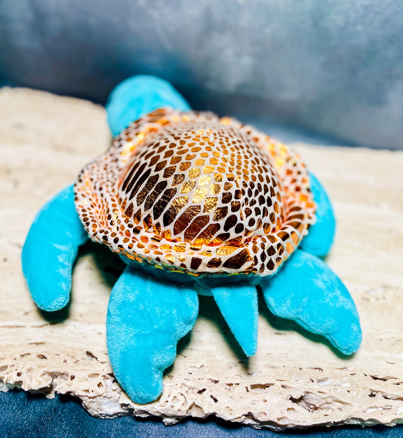 The Slowest Turtle