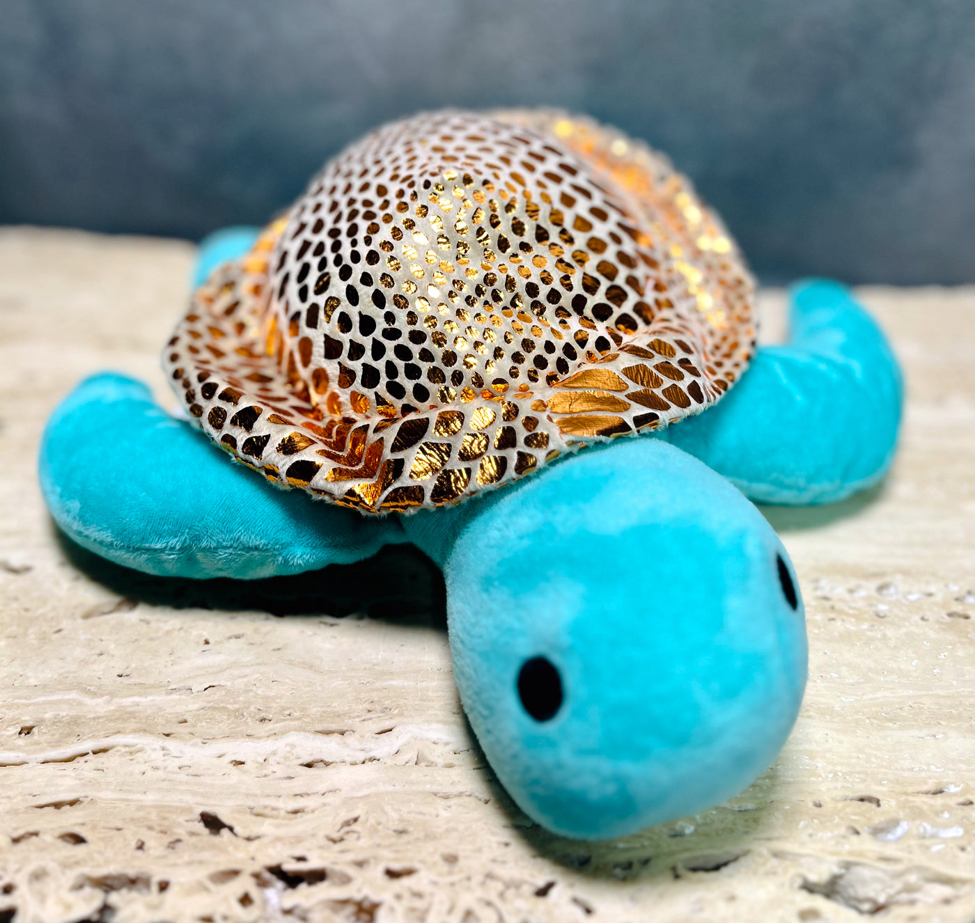 The Slowest Turtle