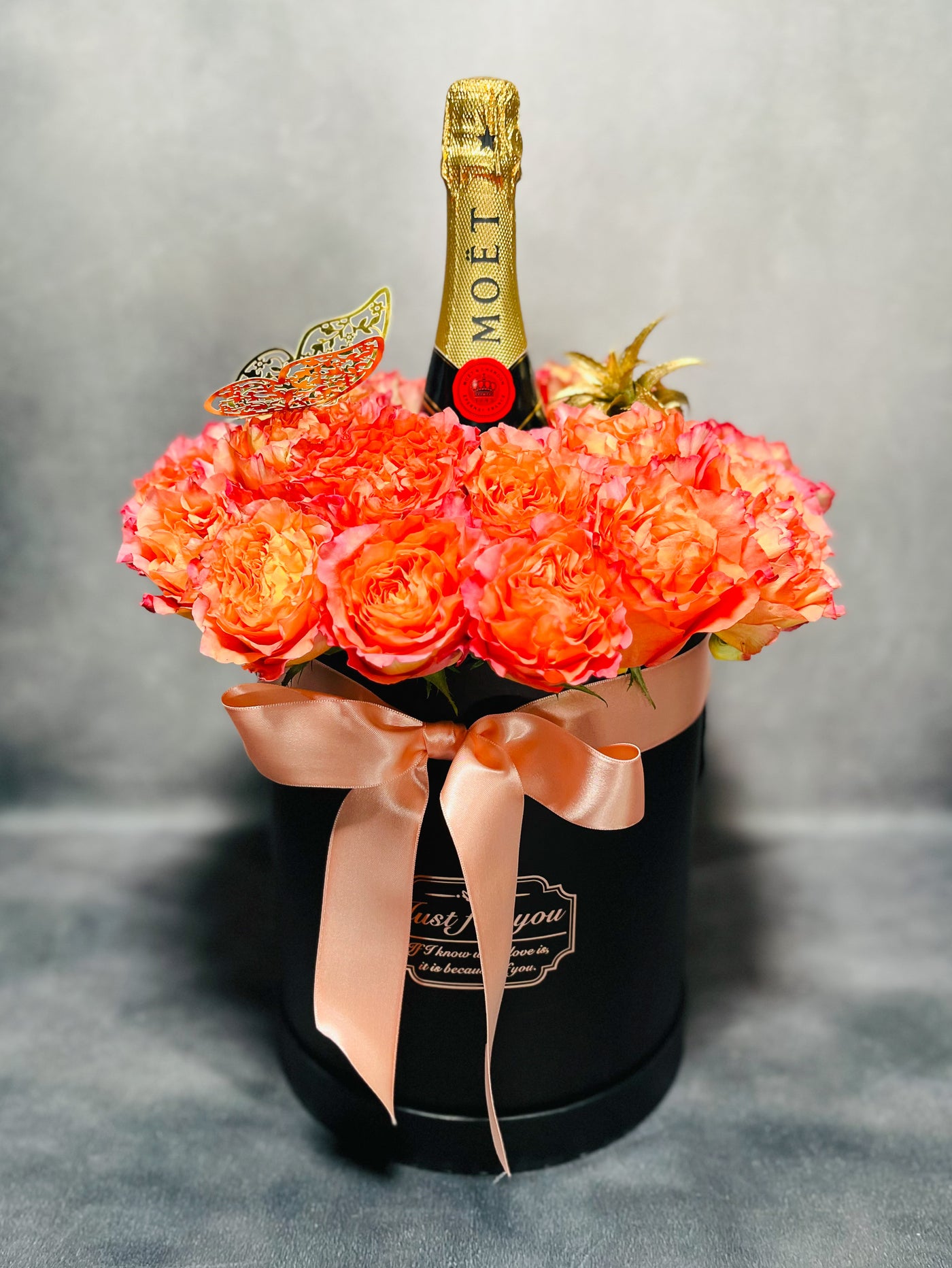 AMOR BOREAL