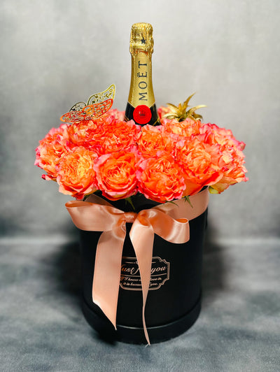 AMOR BOREAL