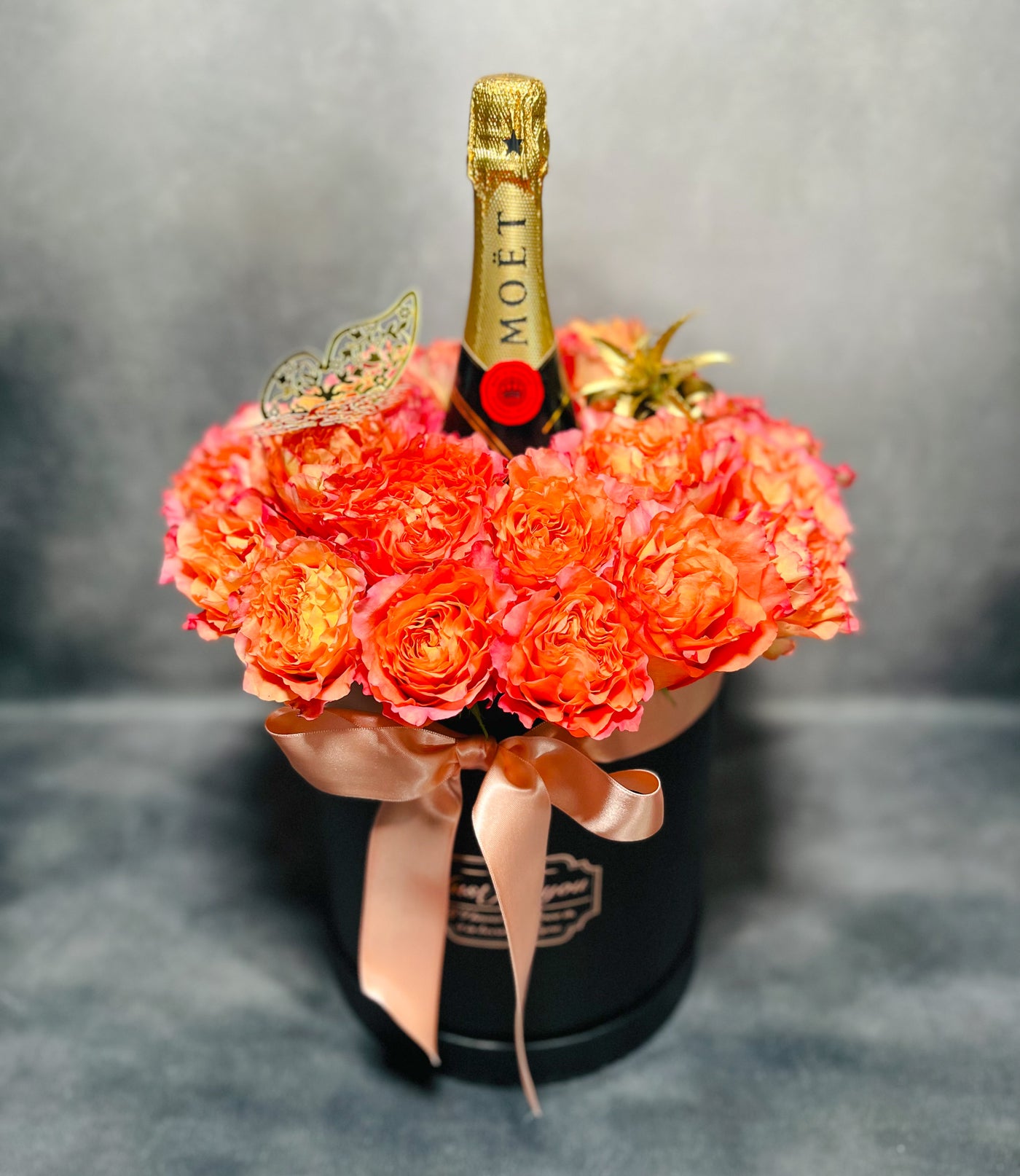 AMOR BOREAL