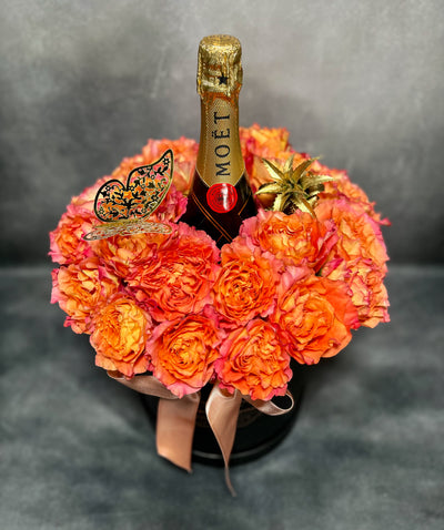 AMOR BOREAL