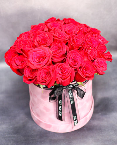 CUTE LOVE