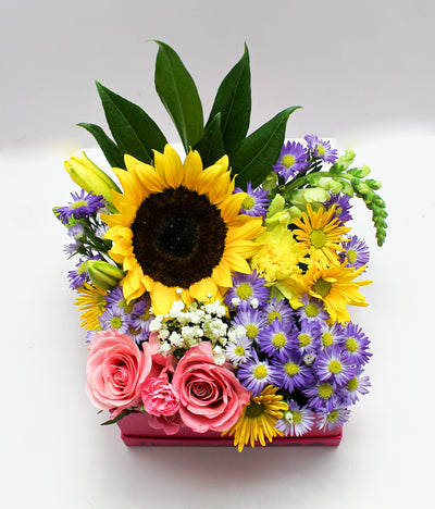 DIVINE FLOWERS
