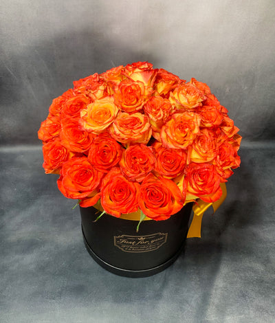 SWEET ORANGE