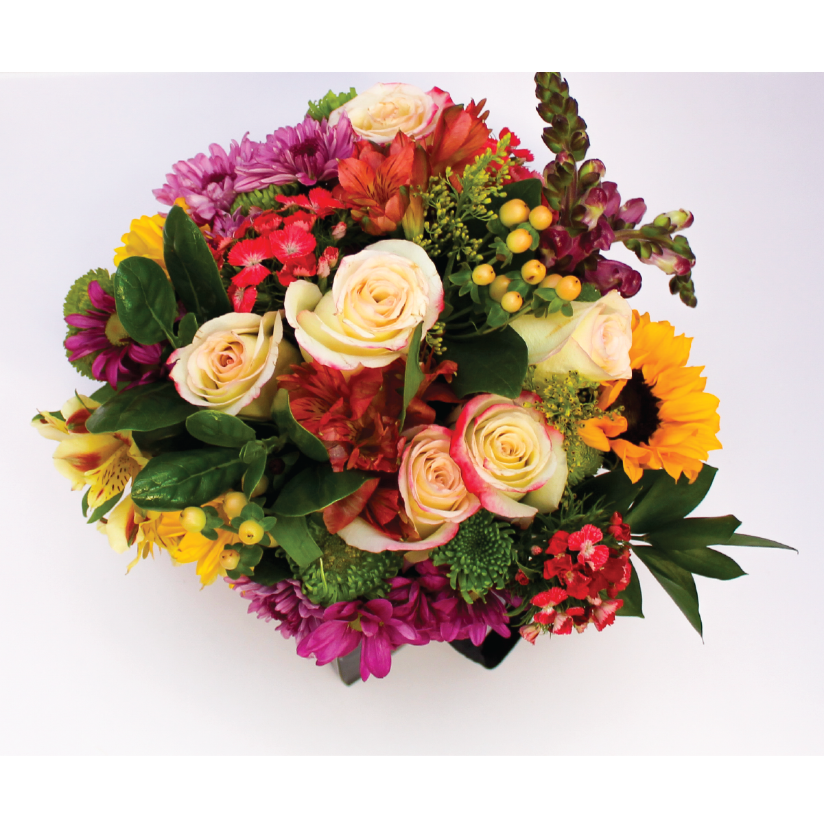 BELLES FLEURS SAUVAGES