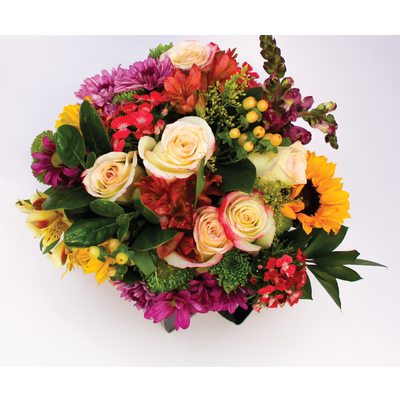 BELLES FLEURS SAUVAGES