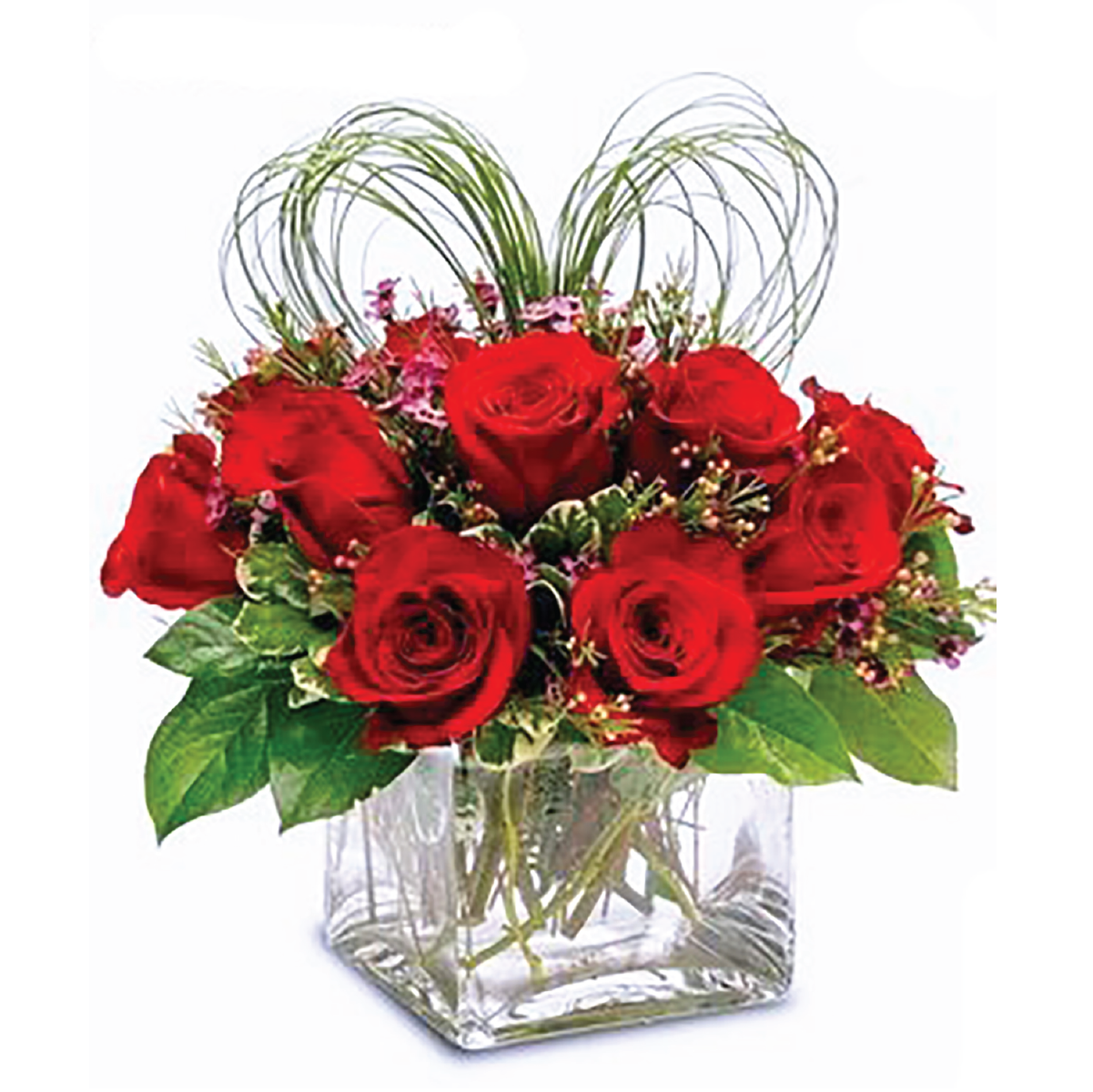 SMELL D ROSES